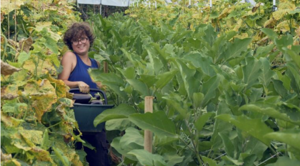 documentaire légumes bios et locaux écoles